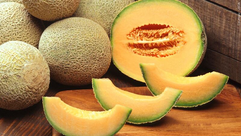 According to the FDA, the recalled cantaloupes were distributed Sept. 5-16.
