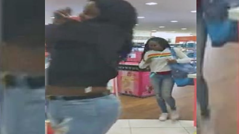 A frame grab from video of the theft.