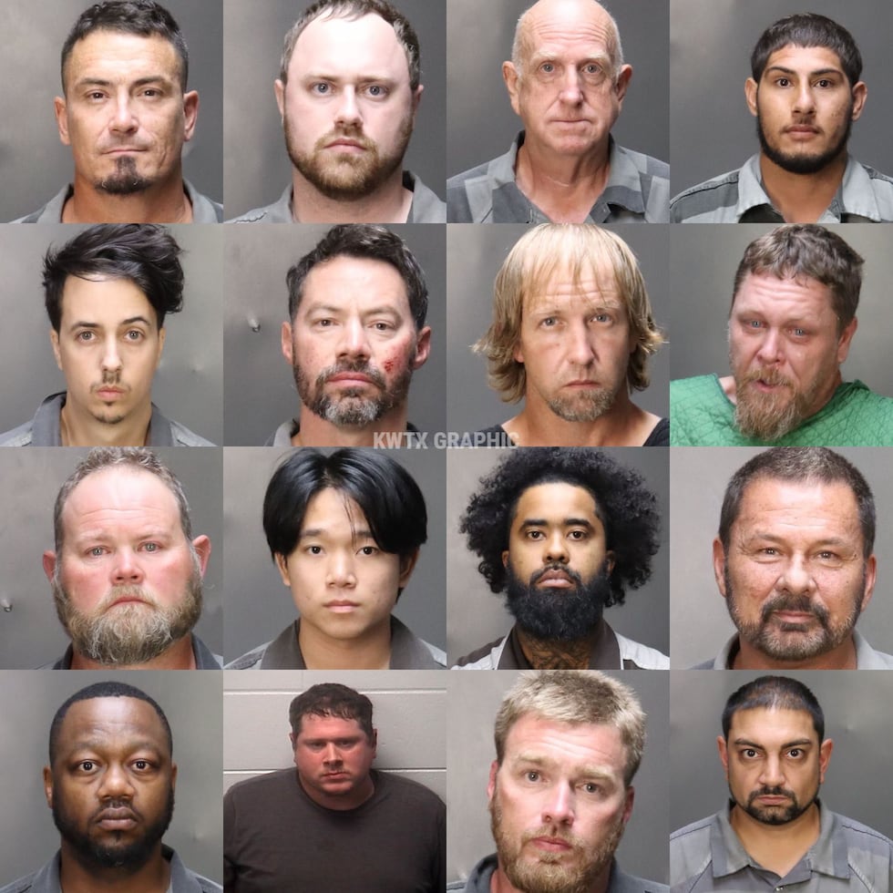 Booking photos for 16 of the 17 men charged after the most recent human trafficking sting in...