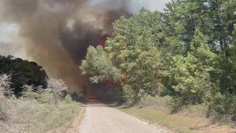 Two firefighters are hospitalized with burns after responding to a large wildfire in San...