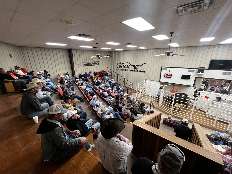The Clifton Livestock Commission is located on Highway 6 in Clifton.