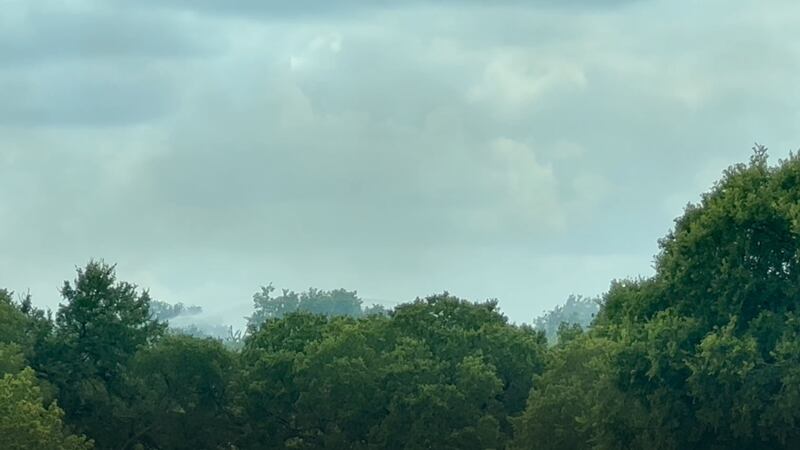 Scene of the brushfire
