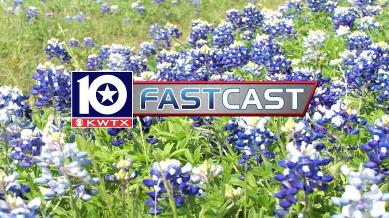 fastcast bluebonnets