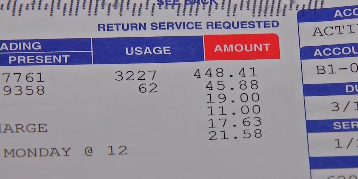 'Texas Utility Help' program launches across Texas - KWTX